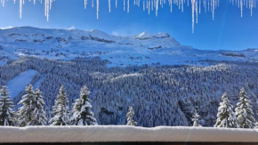 Residence les Pleiades Flaine